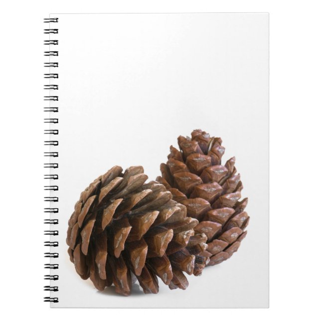 Zwei pinecones notizblock (Vorderseite)