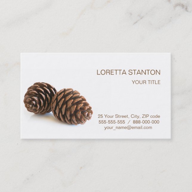 Zwei pinecones visitenkarte (Vorderseite)