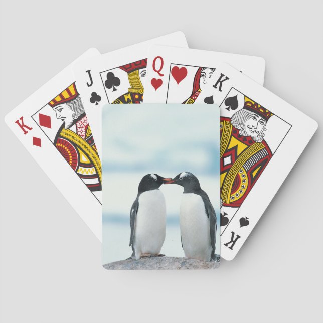 Zwei Pinguine, die Schnäbel berühren Spielkarten (Rückseite)