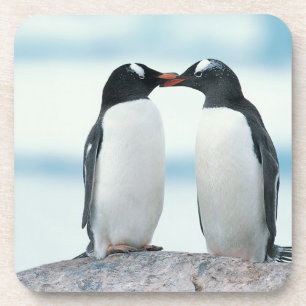 Zwei Pinguine, die Schnäbel berühren Untersetzer