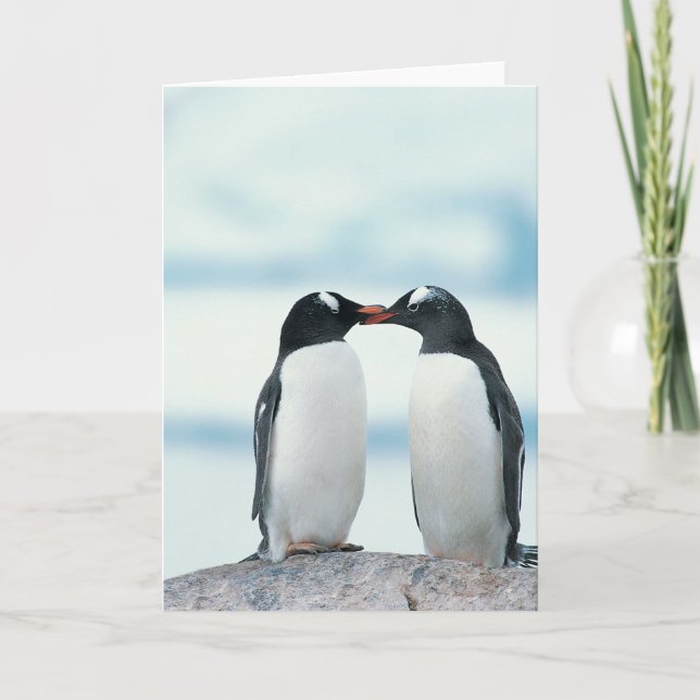 Zwei Pinguine mit Berührungsbaken Karte (Vorderseite)