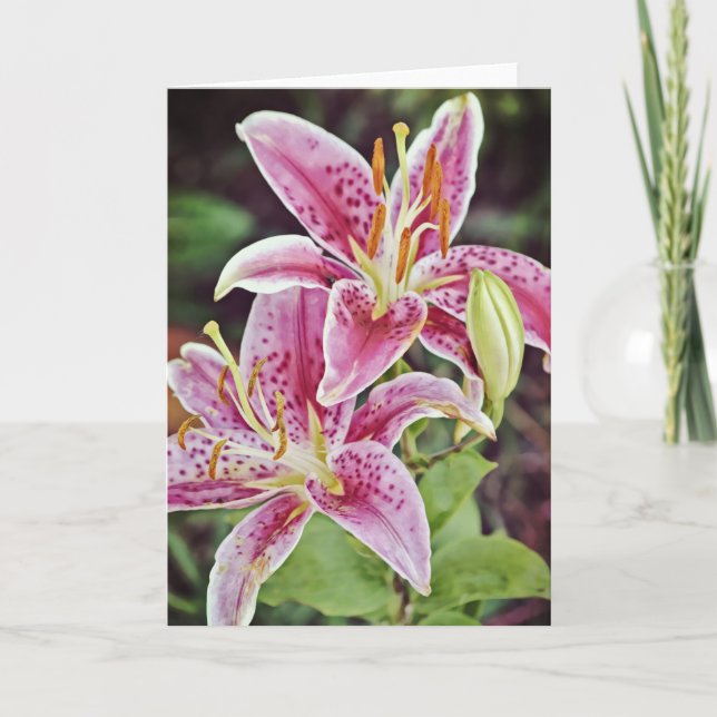 Zwei Pink Lilies Scripture Card Philippianer 4:19 Karte (Vorderseite)