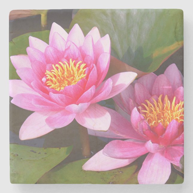 "ZWEI PINKWASSERLILIEN" STEINUNTERSETZER (Vorderseite)