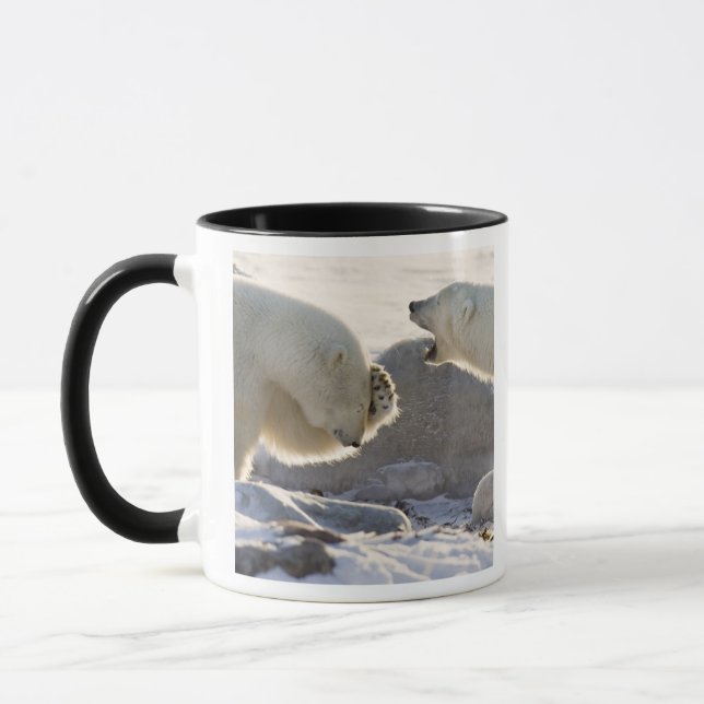 Zwei Polarbären Tasse (Links)