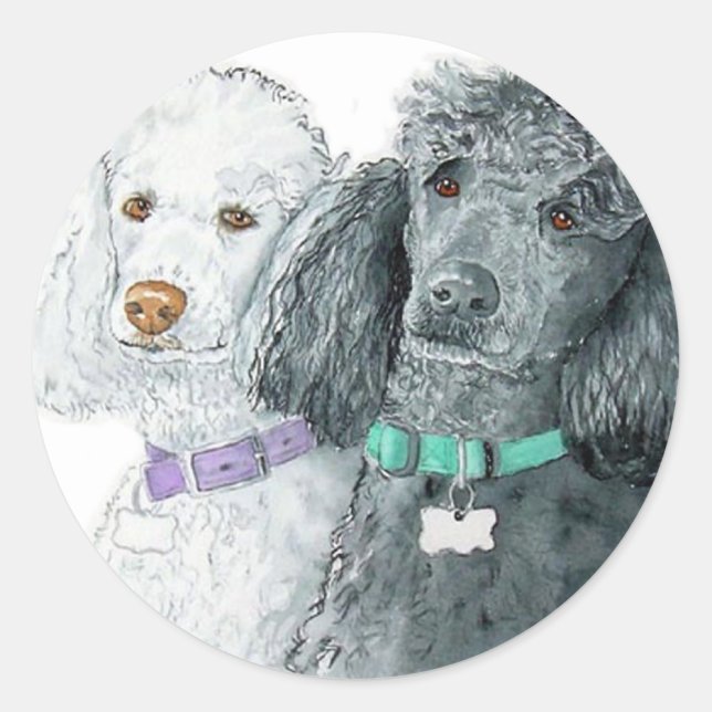 Zwei Poodles-Aufkleber Runder Aufkleber (Vorderseite)