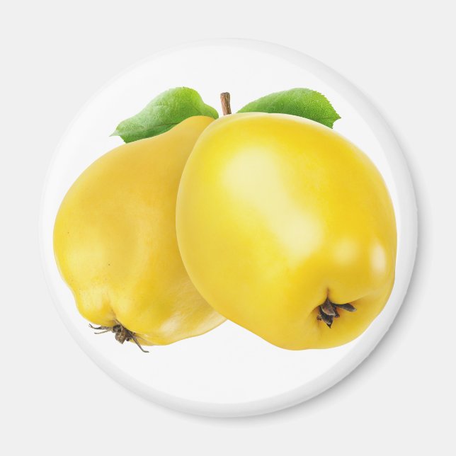 Zwei Quitfrüchte Magnet (Vorne)
