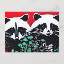 Zwei Raccoons