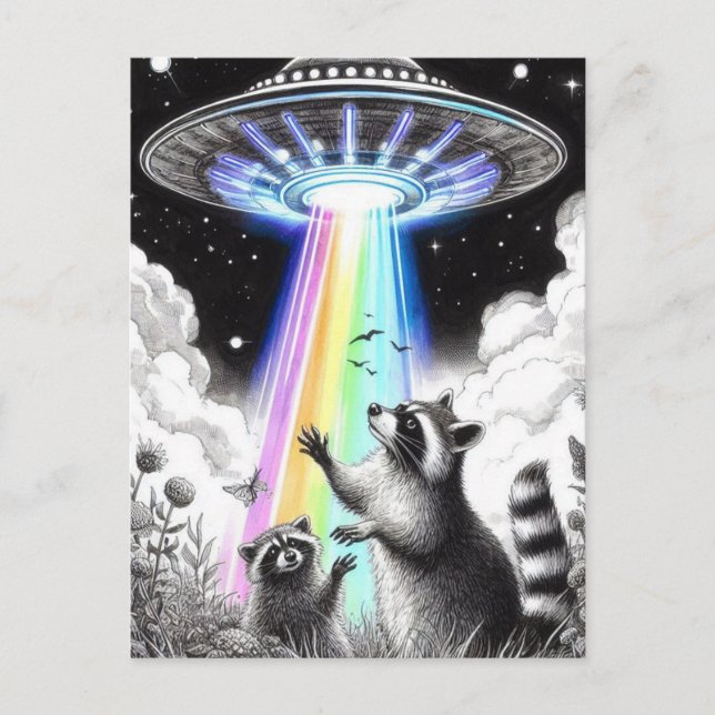Zwei Raccoons und Rainbow UFO auf der Wildblume Postkarte (Vorderseite)