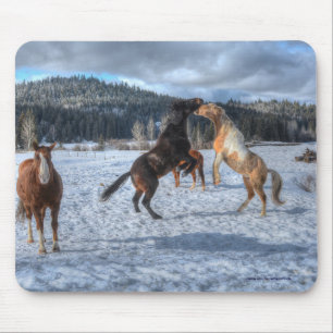 Zwei Ranch-Pferde spielen im Winterschnee IV Mousepad