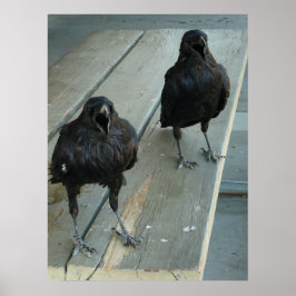 Zwei Ravens Höhle auf einer Bank Außenposter Poster