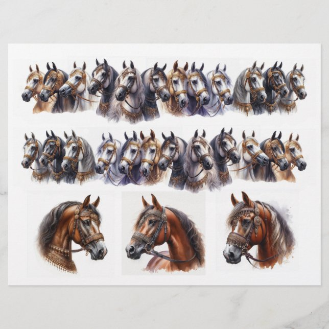 Zwei Reihen plus 3 einzelne schöne Pferde (Vorderseite)