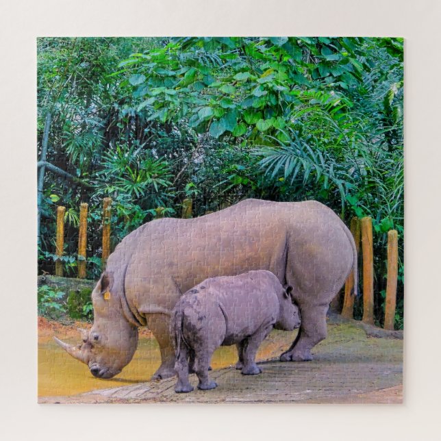 Zwei Rhinozerosen (Vertikal)