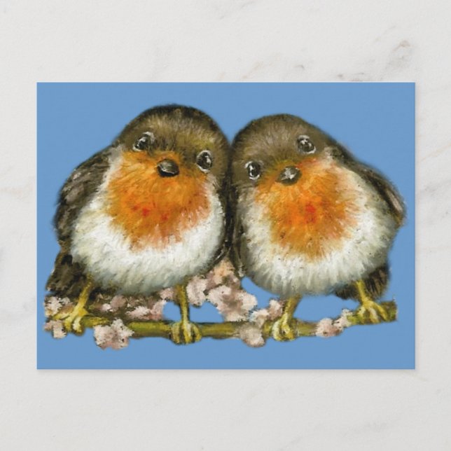 zwei Robinen Postkarte (Vorderseite)