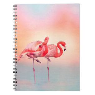 zwei rosa Flamingos im Wasser bei Sonnenuntergang, Notizblock