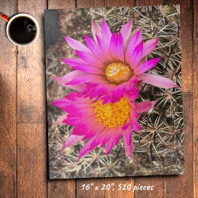 Zwei rosa Kaktus-Blume Nah-Up-Foto (Pink cactus flower jigsaw puzzle)