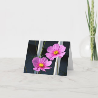 Zwei rosa Kosmos durch das Rennen Karte