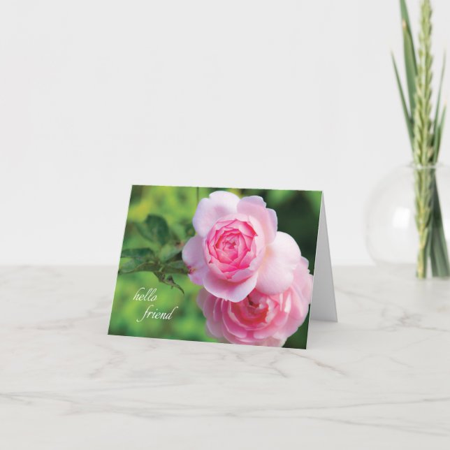 Zwei rosa Rosen, hallo Freund - Anmerkungs-Karte Karte (Vorderseite)