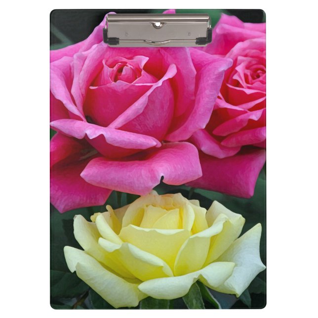 Zwei rosa Rosen Klemmbrett (Vorderseite)