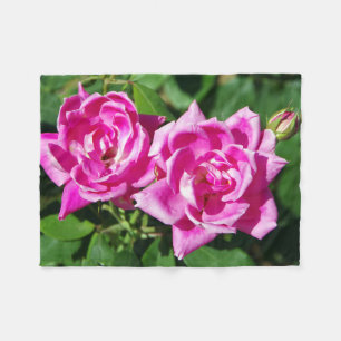 Zwei rosa Rosendecke Fleecedecke