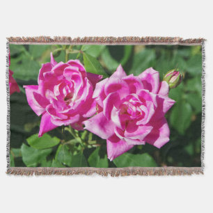 Zwei rosa Rosengewebte Decke