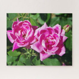 Zwei rosa Roses-Puzzle
