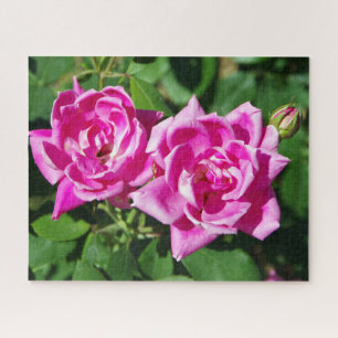 Zwei rosa Roses-Puzzle