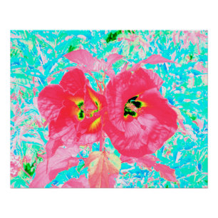 Zwei rosarote Korallen-Pflaume-Crazy-Hibiskus auf Poster