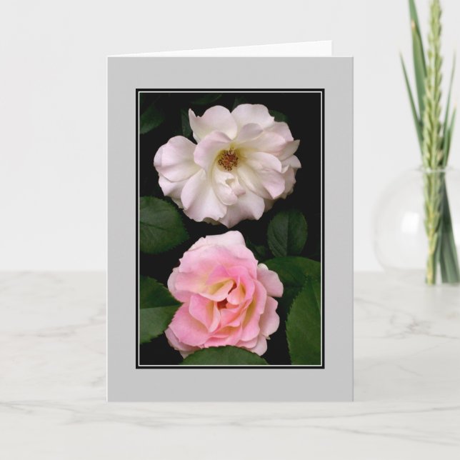 "Zwei Rose leere Note Card Karte (Vorderseite)
