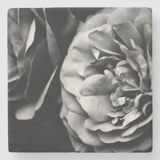 zwei Rose Steinuntersetzer (Vorderseite)