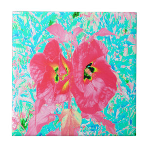 Zwei Rosy Red Coral Pum Crazy Hibiskus auf Aqua Fliese