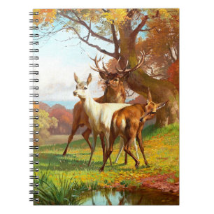 Zwei Rot- und Weißwild im Wald Notizblock