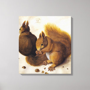 Zwei Rote Eichhörnchen (von Albrecht Dürer) Leinwanddruck