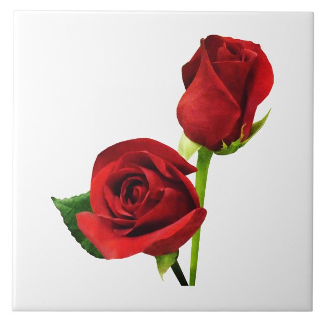 Zwei Rote Rosen Fliese (Vorderseite)