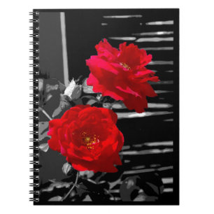 ZWEI ROTE ROSEN NOTIZBLOCK