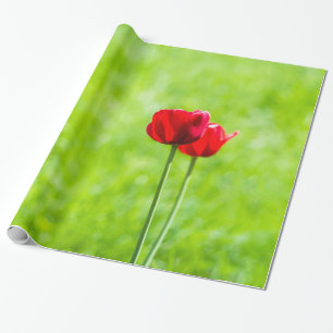 Zwei rote TulpenBlume Geschenkpapier