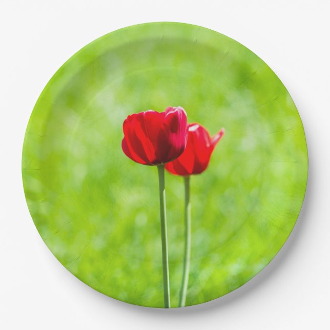 Zwei rote TulpenBlume Pappteller (Vorderseite)