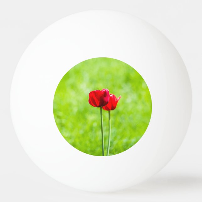 Zwei rote TulpenBlume Tischtennisball (Vorderseite)