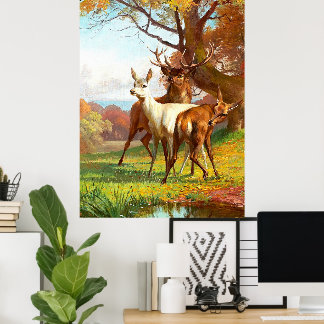Zwei rote und weiße Hirsche im Wald Poster