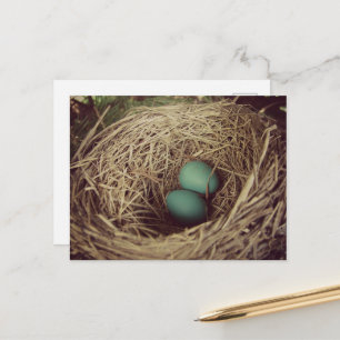 Zwei Rotkehlcheneier in einem Nest Postkarte