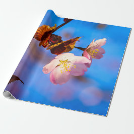 Zwei Sakura-Blume auf blau Geschenkpapier