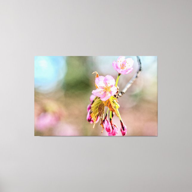 Zwei Sakura-Blume auf einem Tipp einer Twig im Frü Leinwanddruck (Vorderseite)