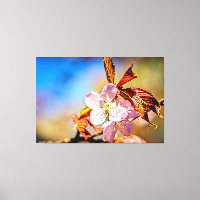 Zwei Sakura Cherry Blume Leinwanddruck (Vorderseite)