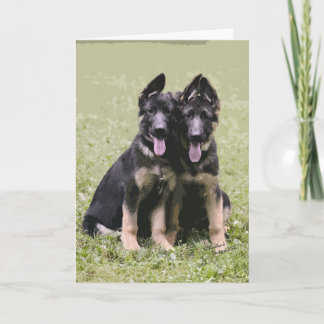 Zwei Schäferhund-Welpen Karte