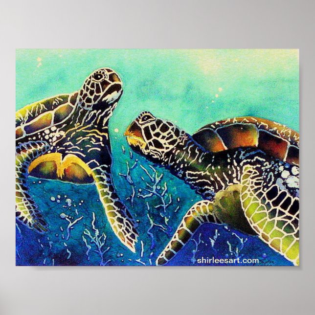 zwei Schildkröten Poster (Vorne)