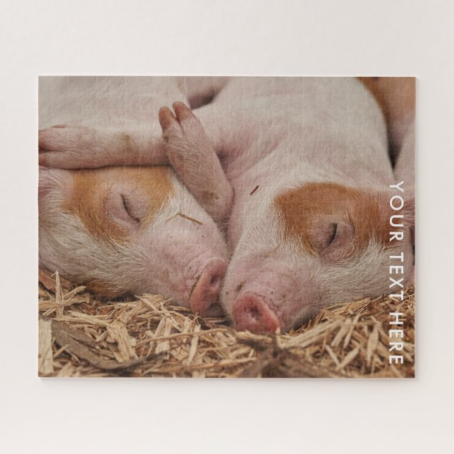 Zwei schlafende Schweine Foto Jigsaw Puzzle (Horizontal)