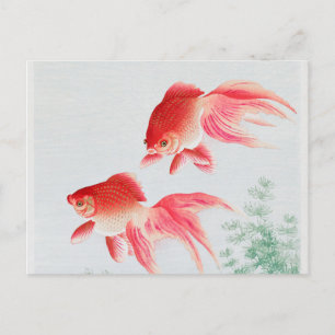 Zwei Schleier goldfische vintage Postkarte
