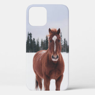ZWEI SCHNEESCHÄDEN Case-Mate iPhone HÜLLE