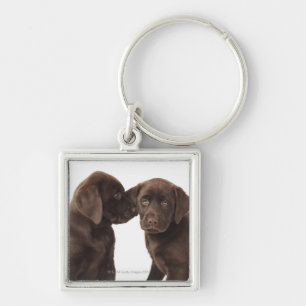 Zwei Schokolade Labrador retriever-Welpen Schlüsselanhänger