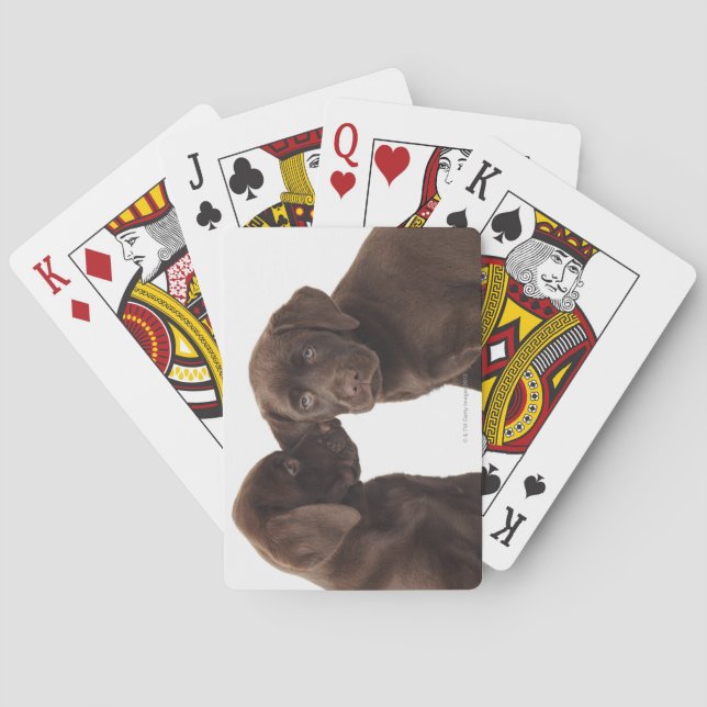 Zwei Schokolade Labrador retriever-Welpen Spielkarten (Rückseite)
