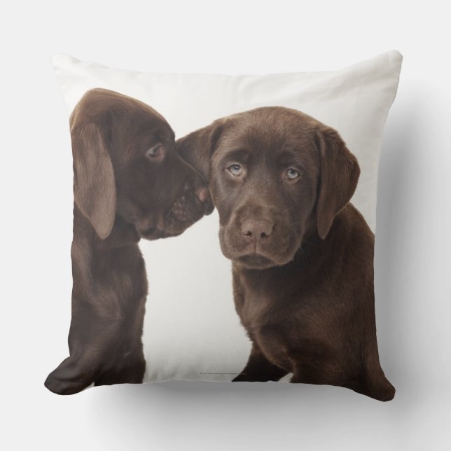 Zwei schokoladenartige Labrador Retriever Welpen Kissen (Vorderseite)